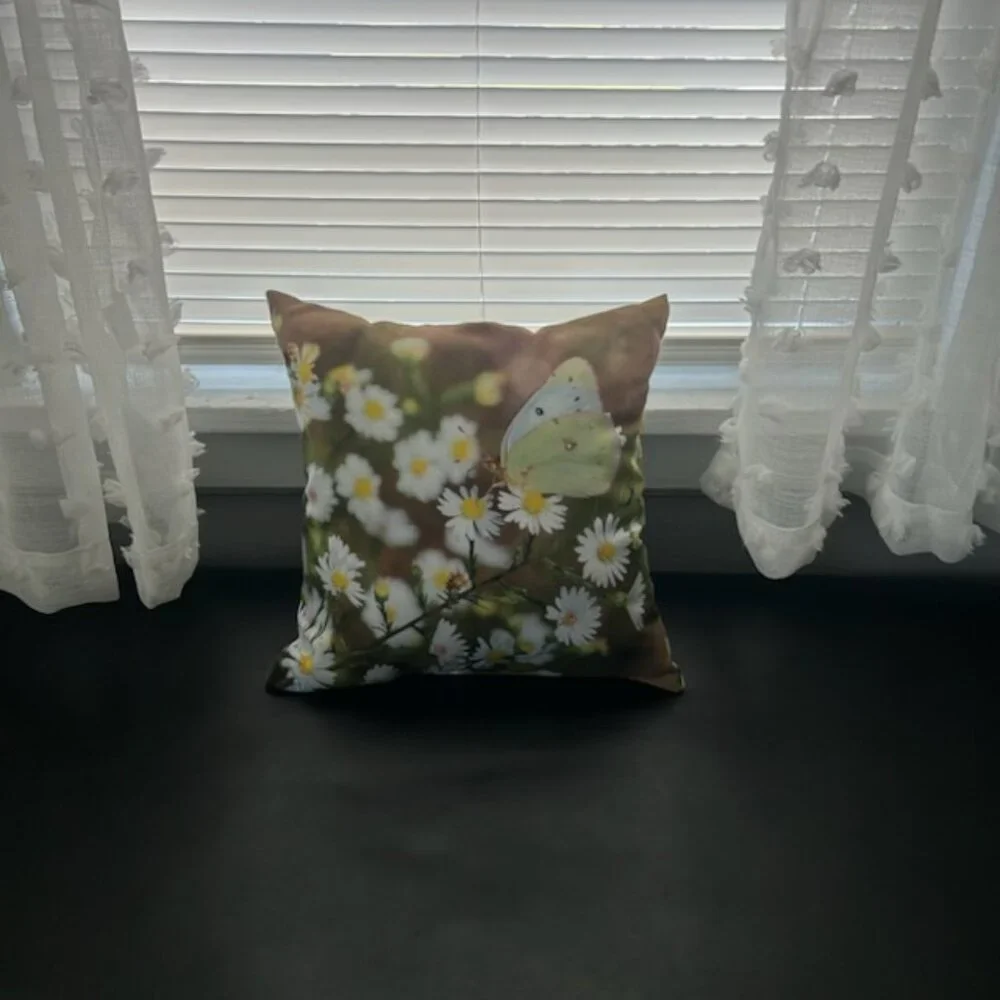 Butterfly Decorative Pilllow, Size 14x14